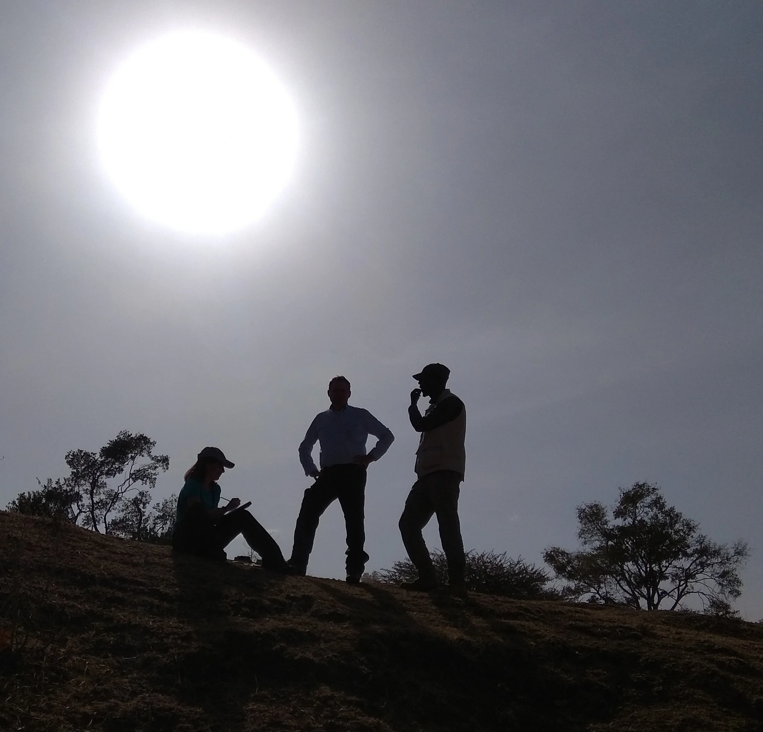 At work under the Ethiopian sun