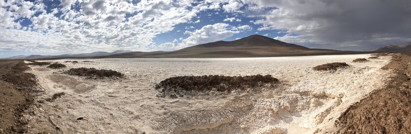 Soil salt crust after a rainy day in the Atacama Desert