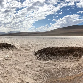 Soil salt crust after a rainy day in the Atacama Desert