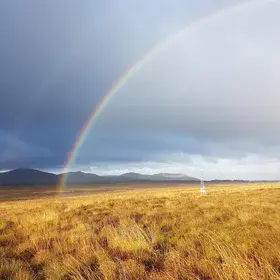 Colourful peatland in winter 2018