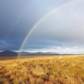 Colourful peatland in winter 2018