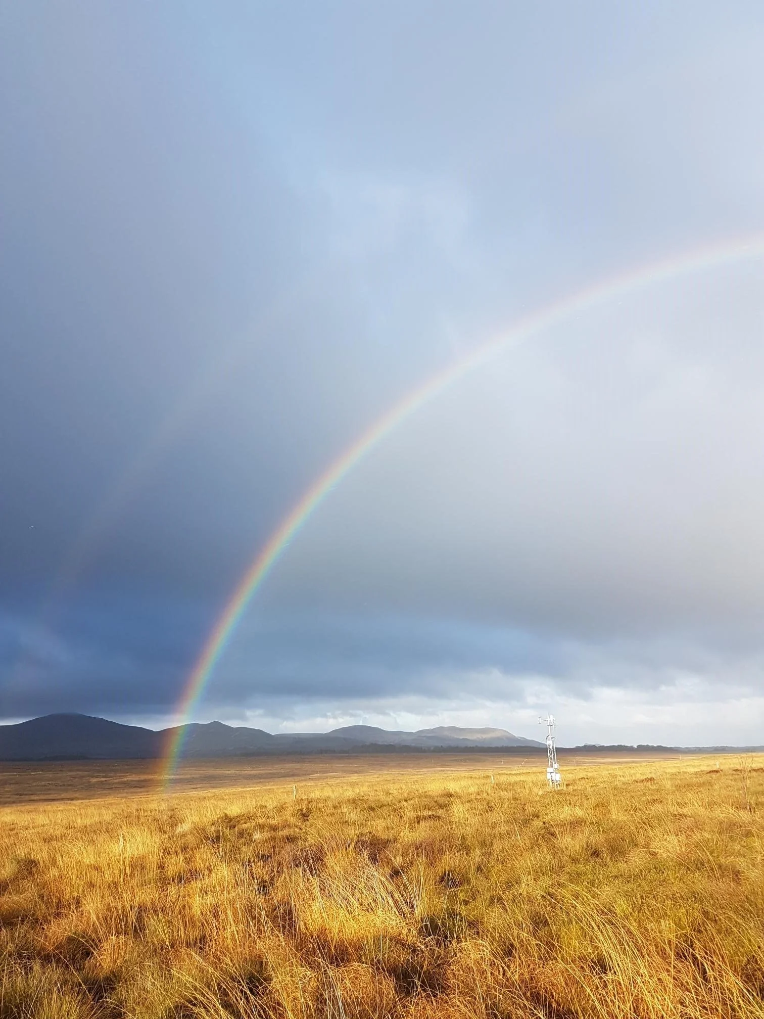 Colourful peatland in winter 2018