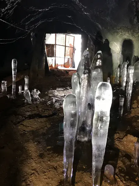 Ice stalagmites in an abandoned gold mine