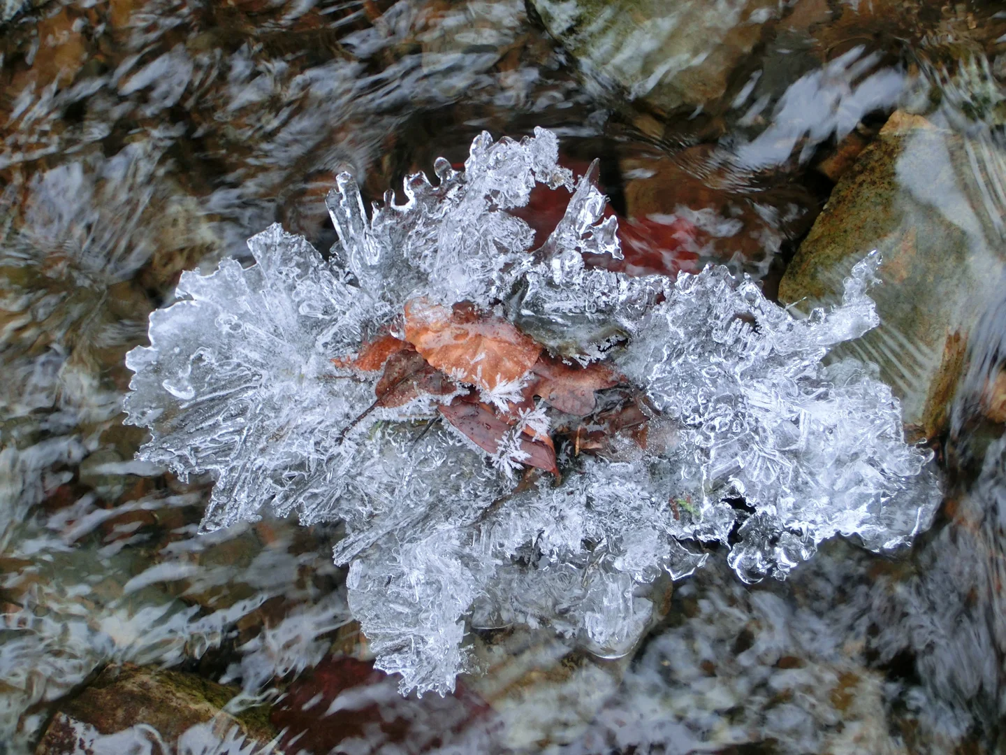 Island of ice in the Koulbich stream