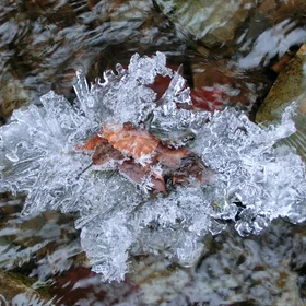 Island of ice in the Koulbich stream