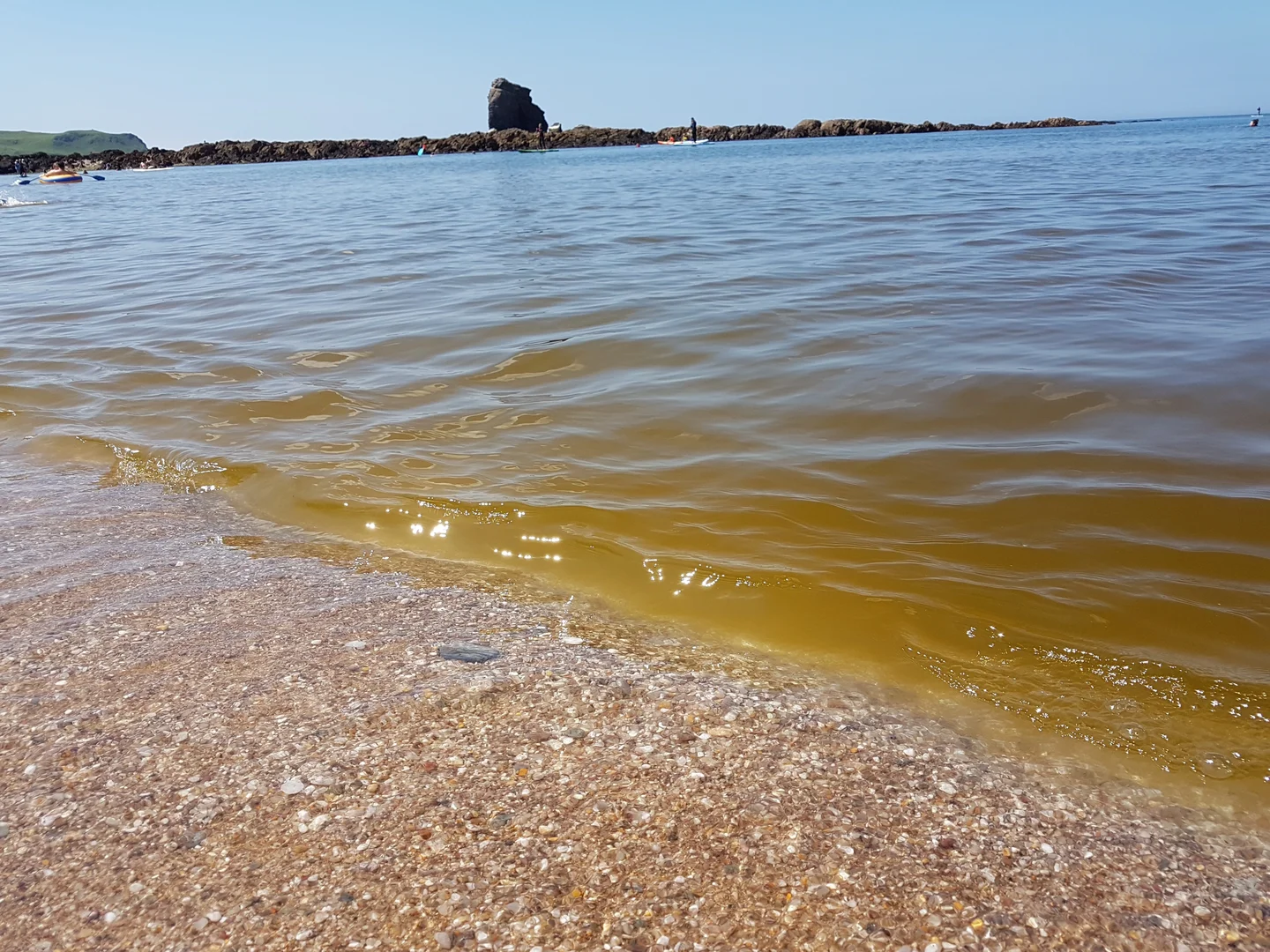 The moment of a plankton bloom - the root of our essential food chain