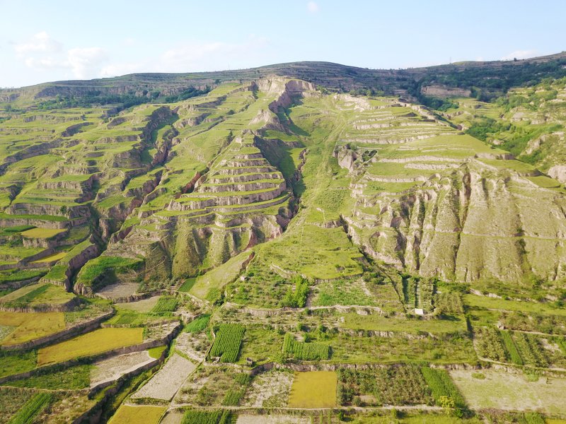 Caijiasi loess landslide