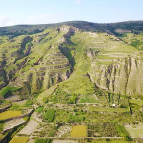 Caijiasi loess landslide