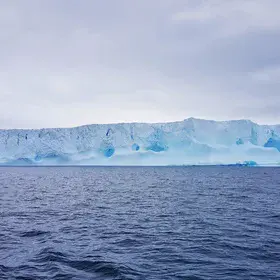 Lonesome blue wanderer