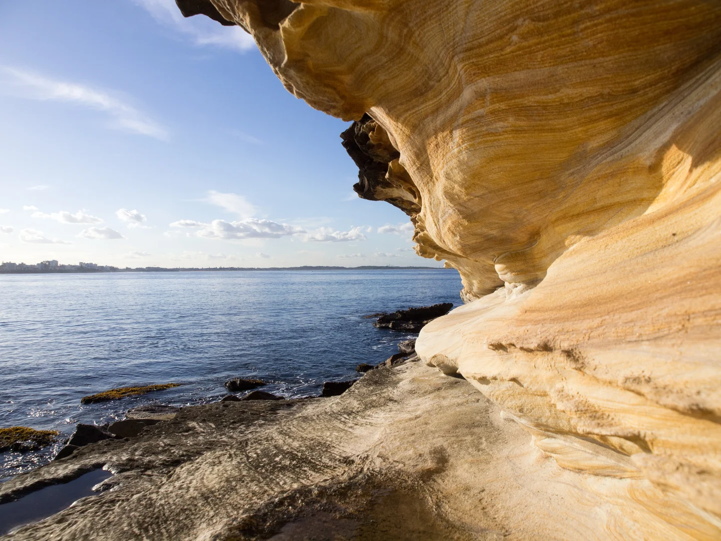 Royal National Park, NSW Australia
