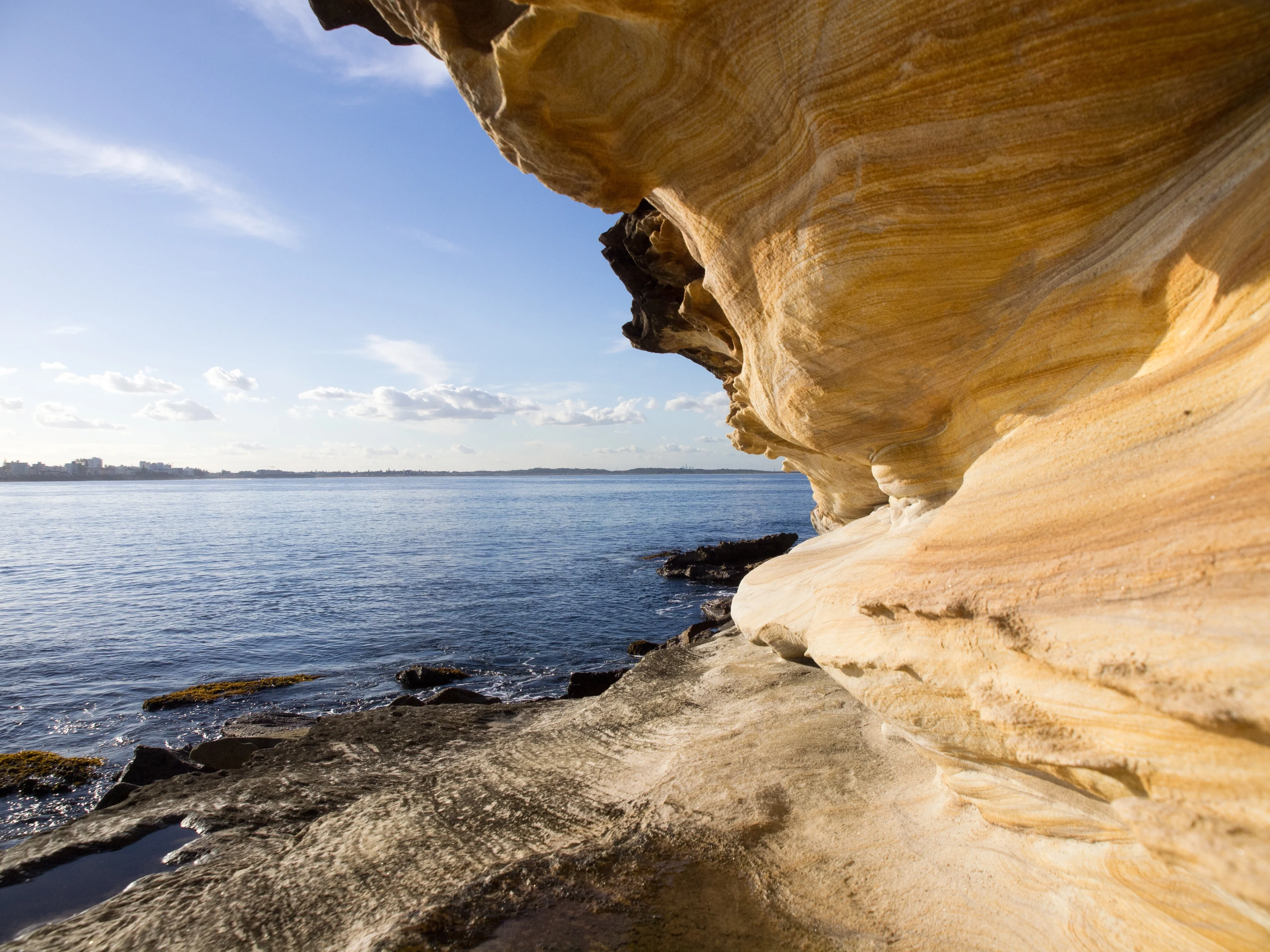Royal National Park, NSW Australia