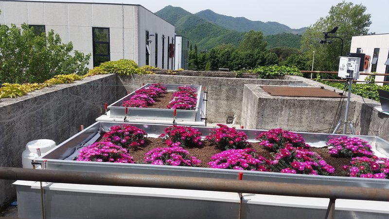Green roofs between science and nature