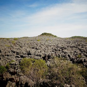 A sea of sharpened rocks