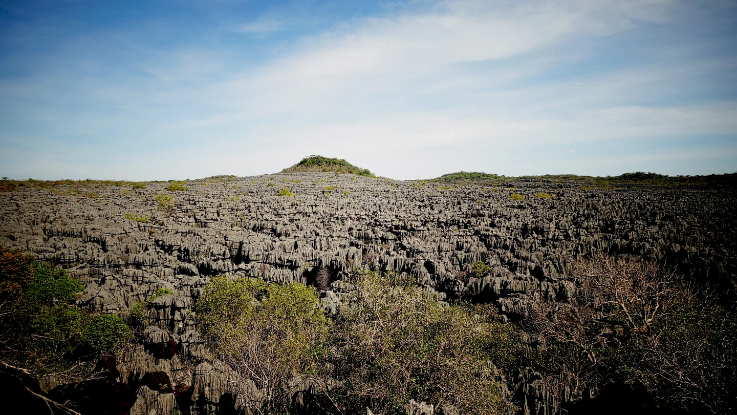 A sea of sharpened rocks