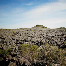 A sea of sharpened rocks