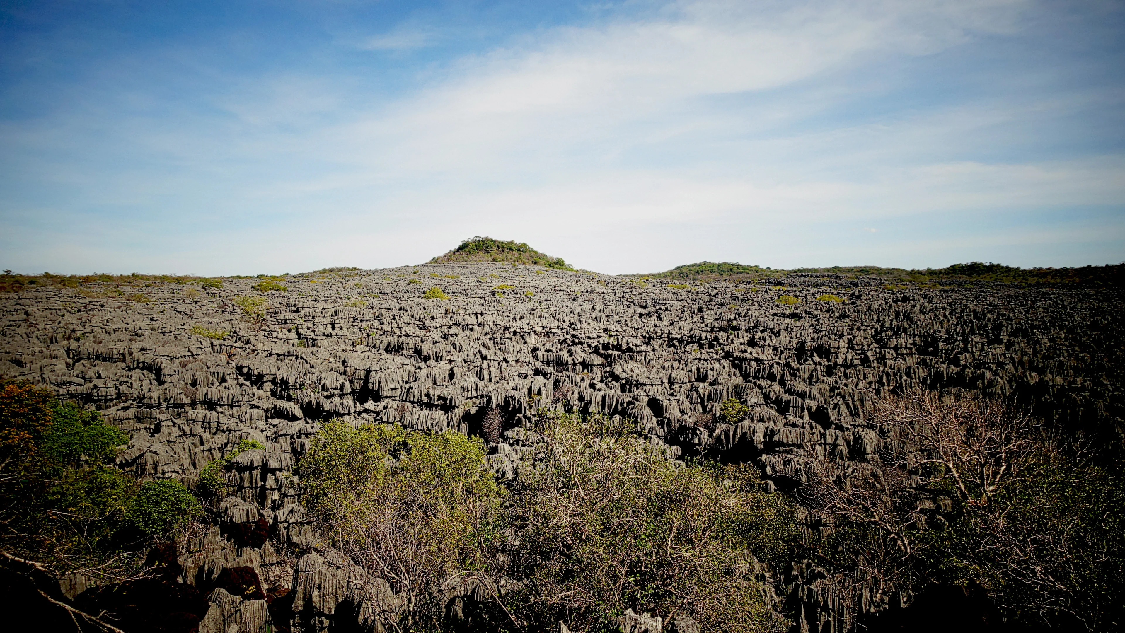 A sea of sharpened rocks