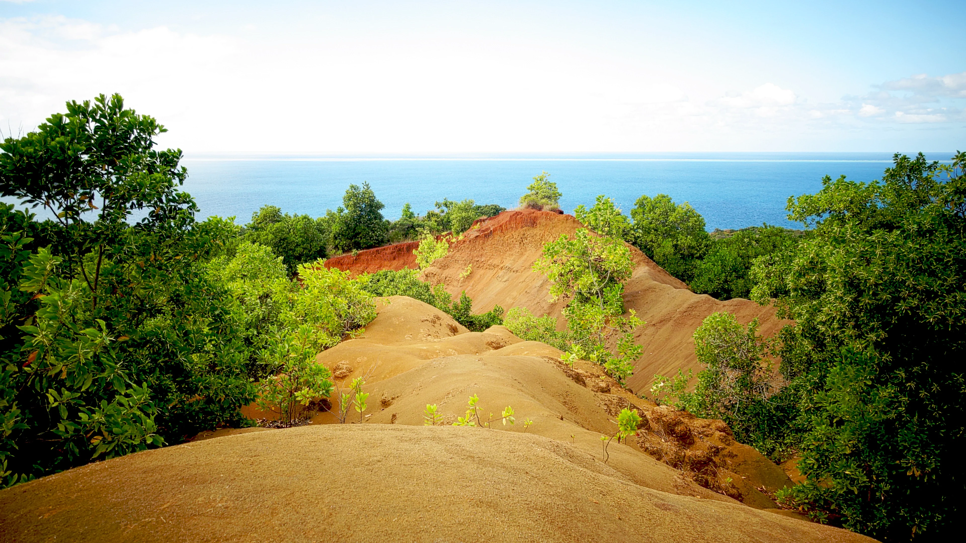 Contrasted island in the Mozambic Canal