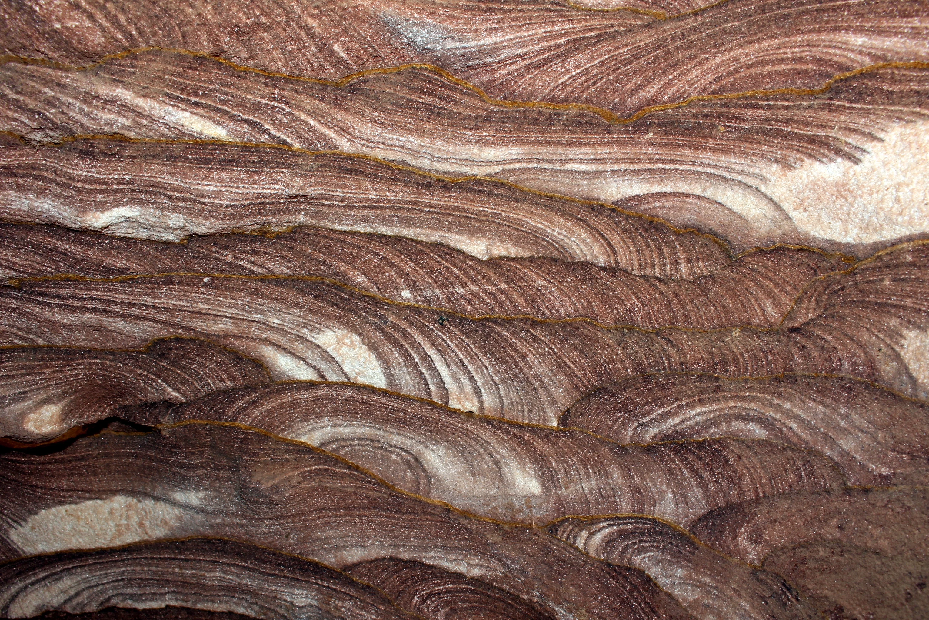 Liesegang sandstone (Jordan)