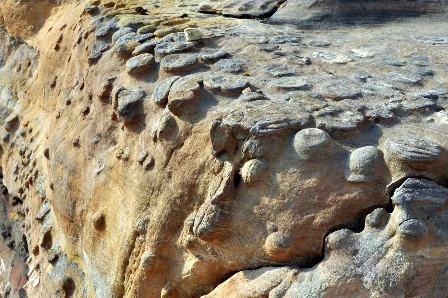 Localised rock-crust (Petra, Jordan)