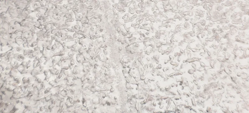 Air and ice with wind