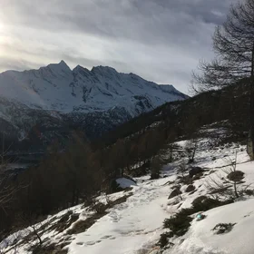 Sunlight on Cà Bianca
