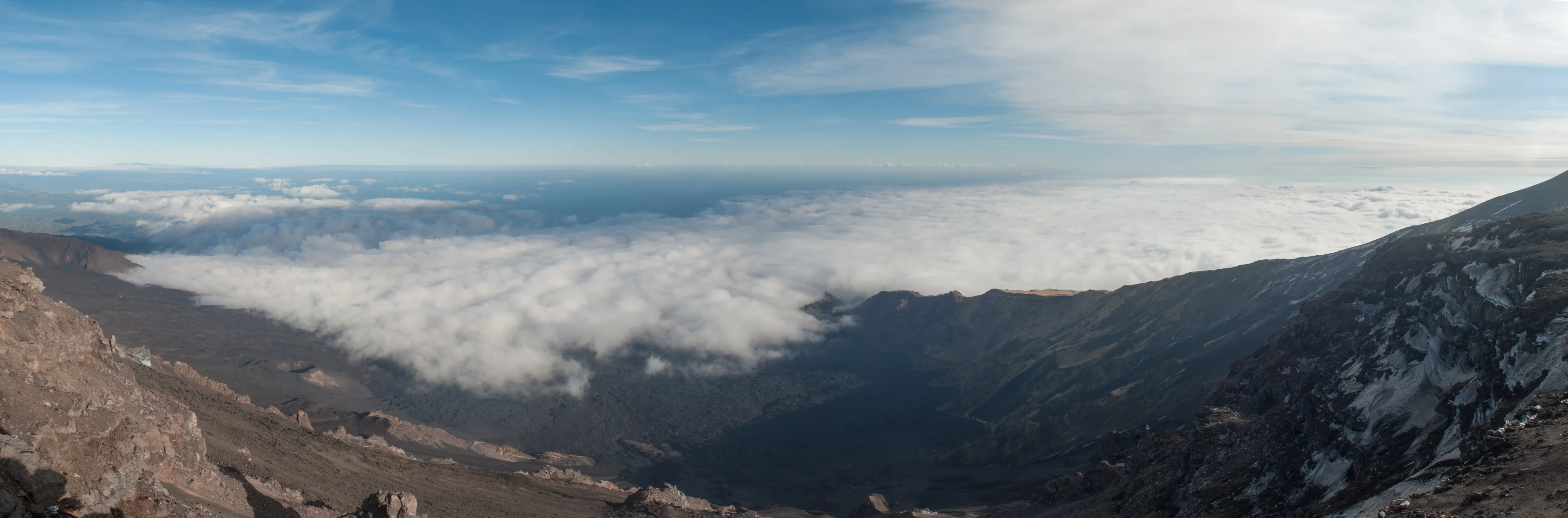 Regeneration in the Valle del Bove