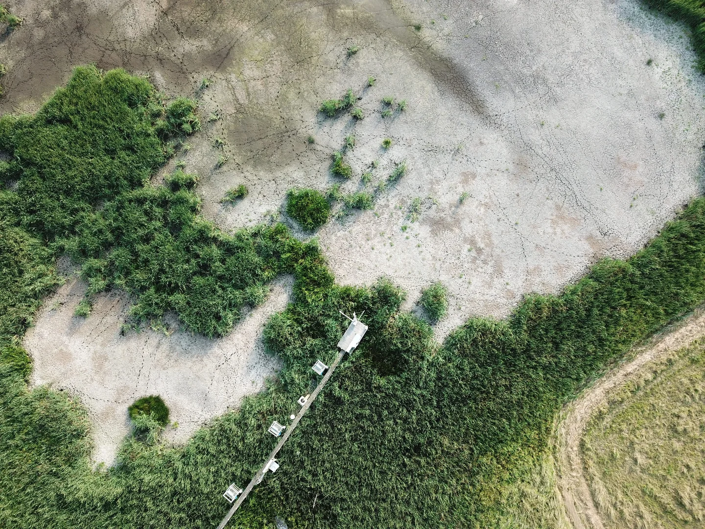 Summer drought 2018: Rewetted peatland in need of some wetness