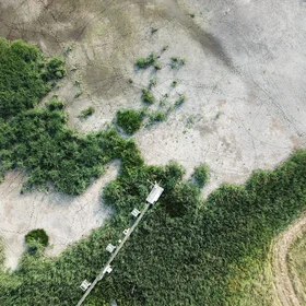 Summer drought 2018: Rewetted peatland in need of some wetness