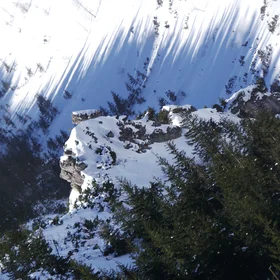 Rocks hidden in shadow and spruce forrest