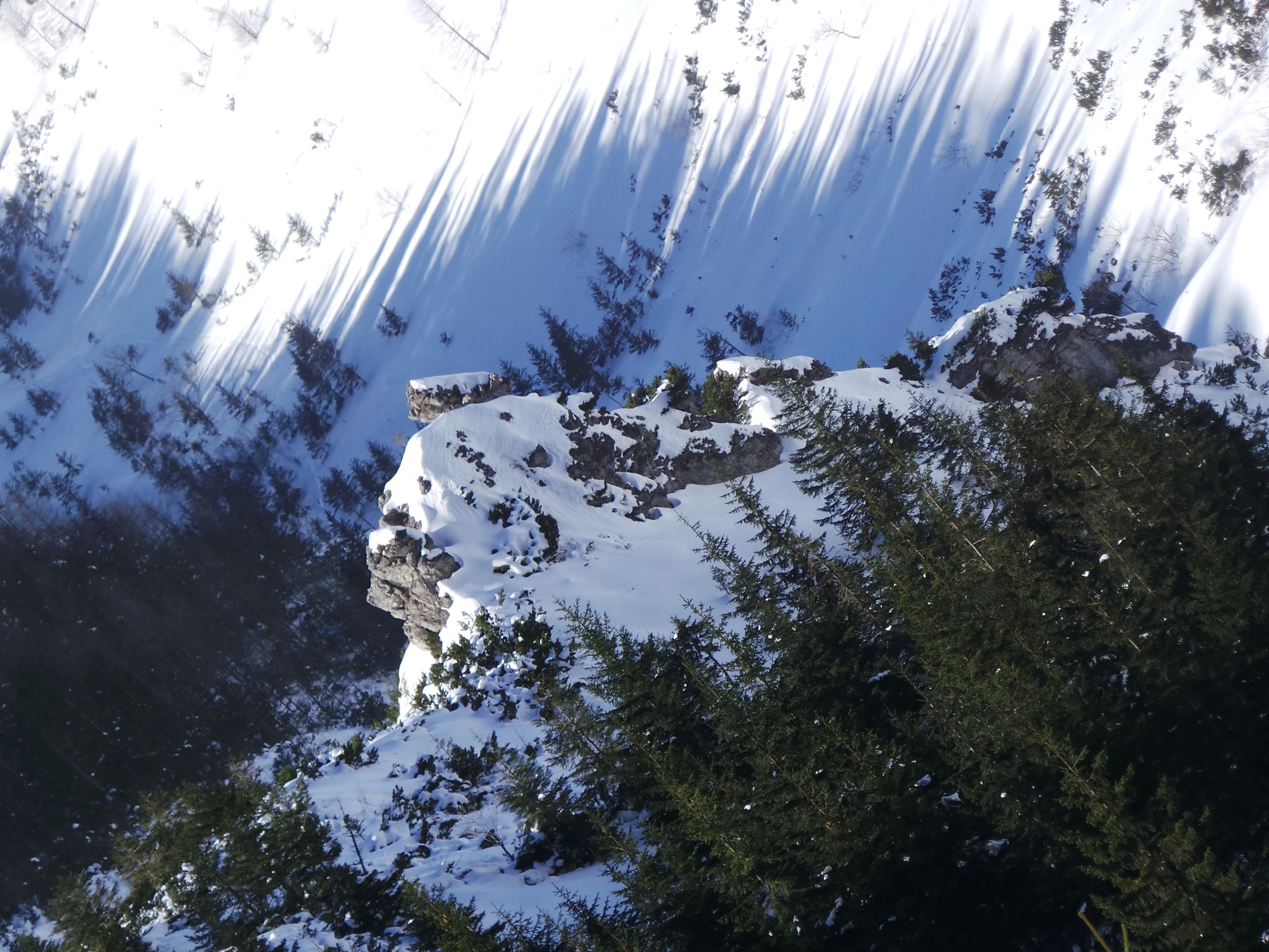 Rocks hidden in shadow and spruce forrest