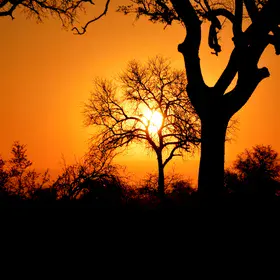 Sunset at Kruger National Park, South Africa
