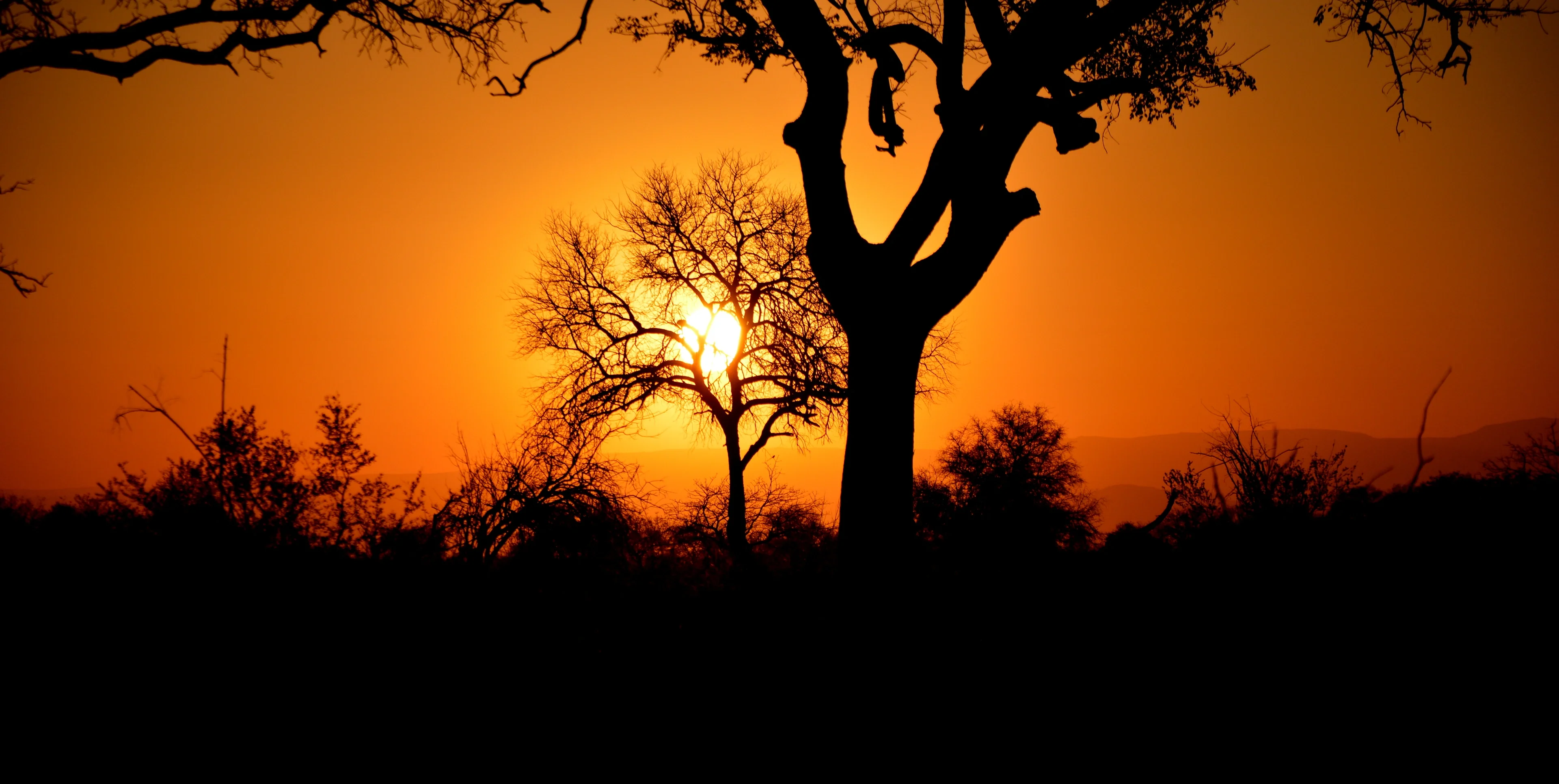 Sunset at Kruger National Park, South Africa