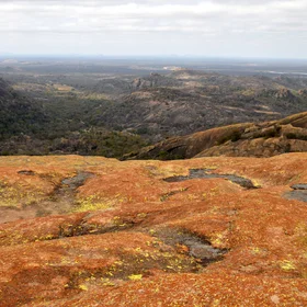 Multi-colored lichens at Matobo National Park, Zimbabwe