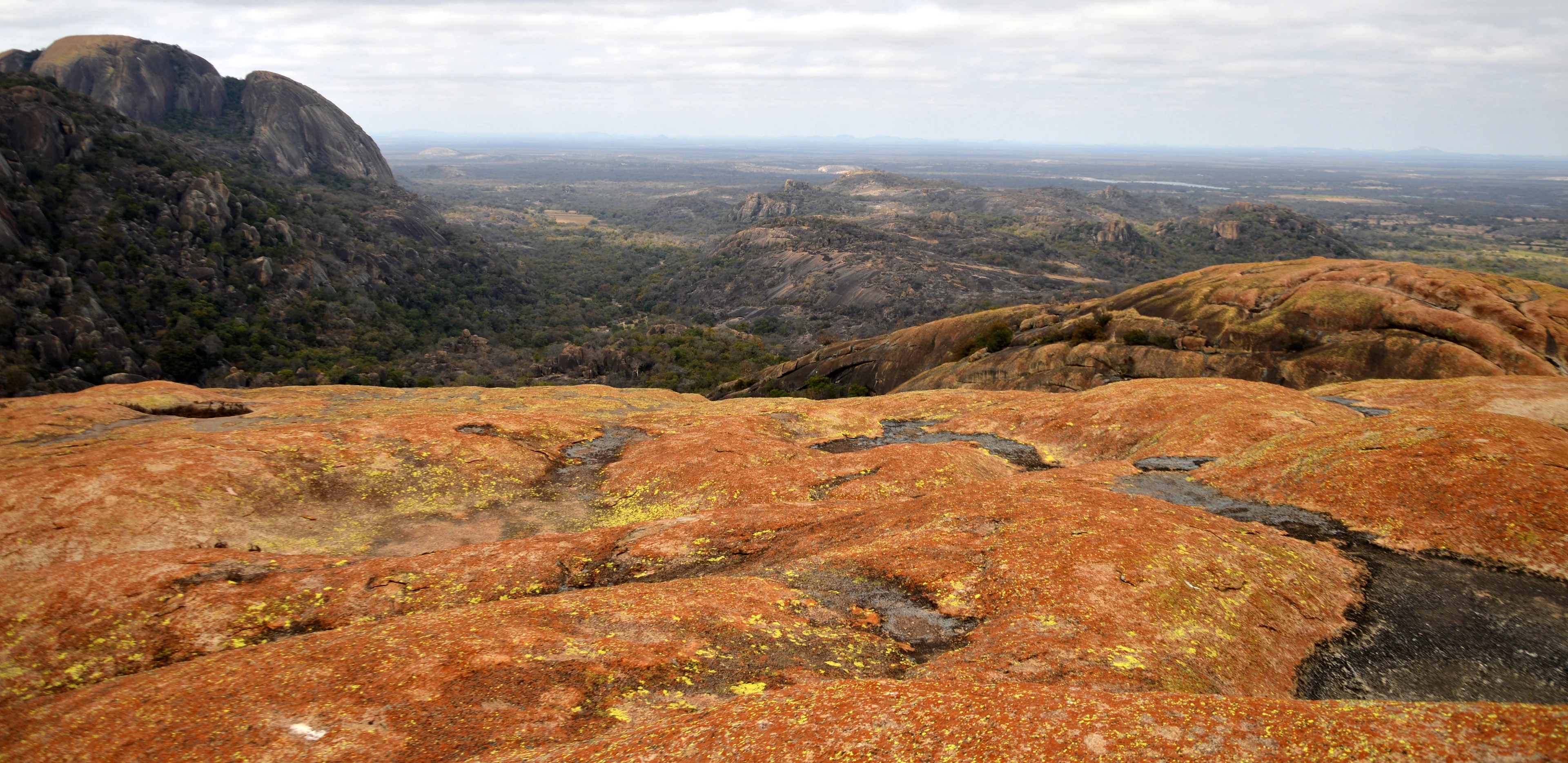 Multi-colored lichens at Matobo National Park, Zimbabwe