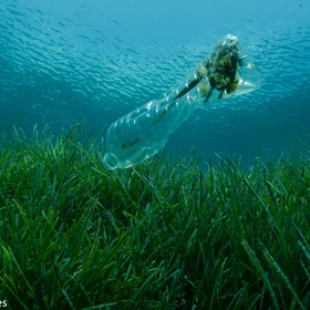 "The most valuable thing we extract from the ocean is our existence" - Dr Sylvia Earle