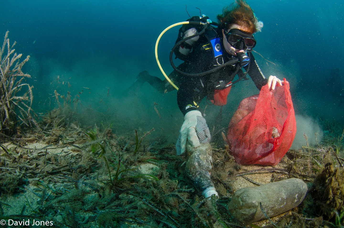 "The greatest threat to our planet is the belief that someone else will save it" - Robert Swan