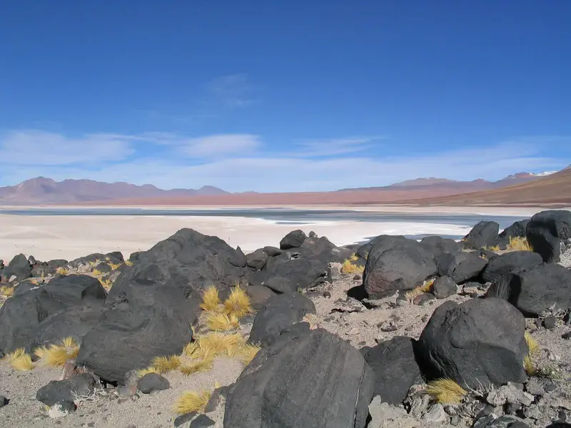 Southwest Circuit Tour, Bolivia