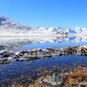 The Mongolian Mountains (Matter Most)