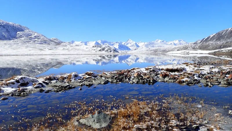 The Mongolian Mountains (Matter Most)