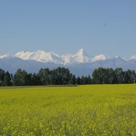 South Tianshan (mountain)
