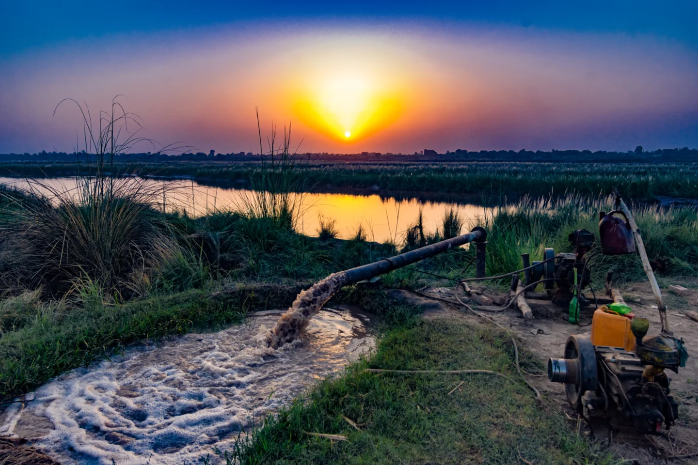 Water for All Food for All
