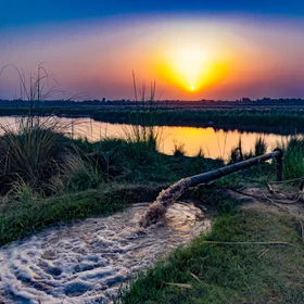Water for All Food for All