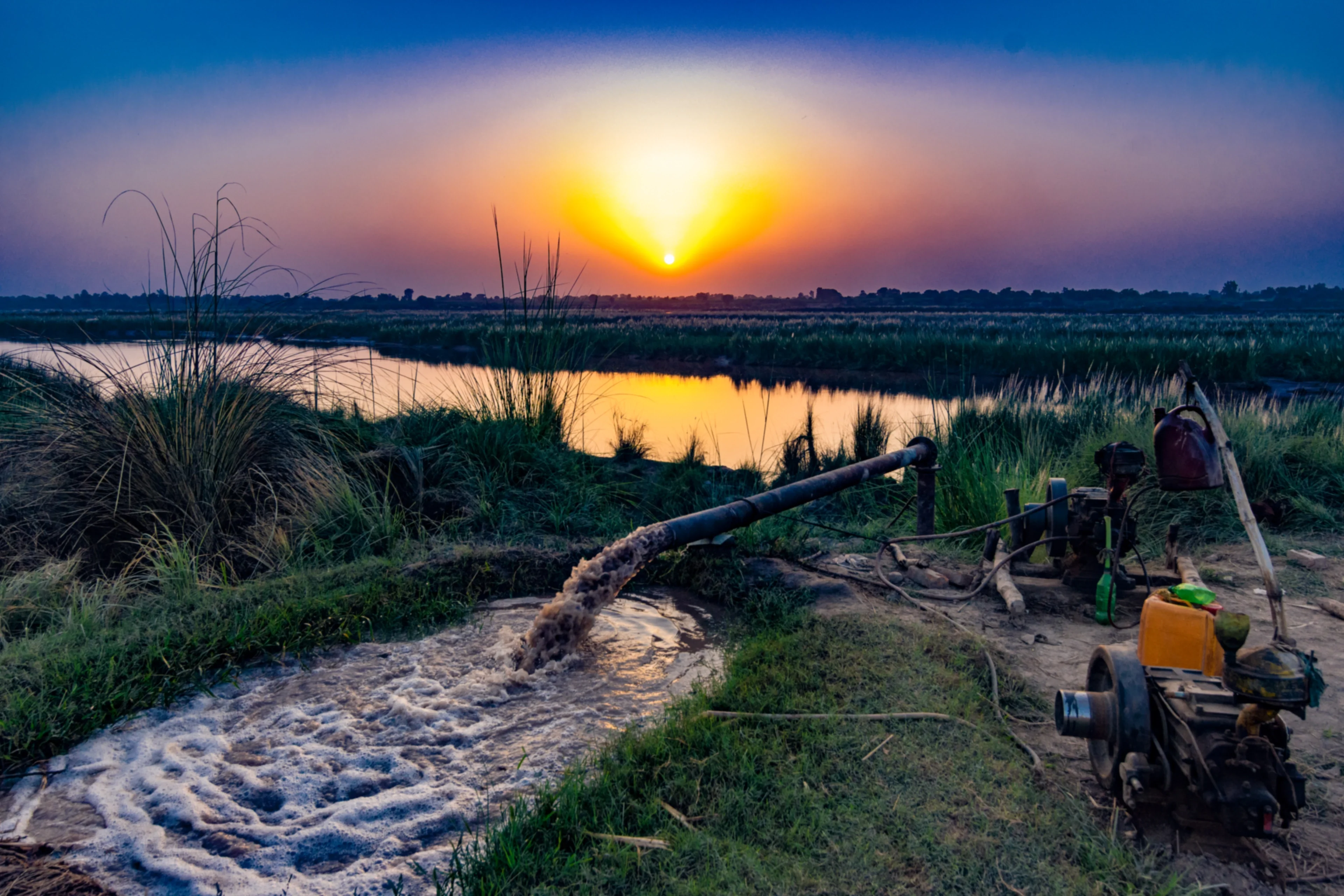 Water for All Food for All