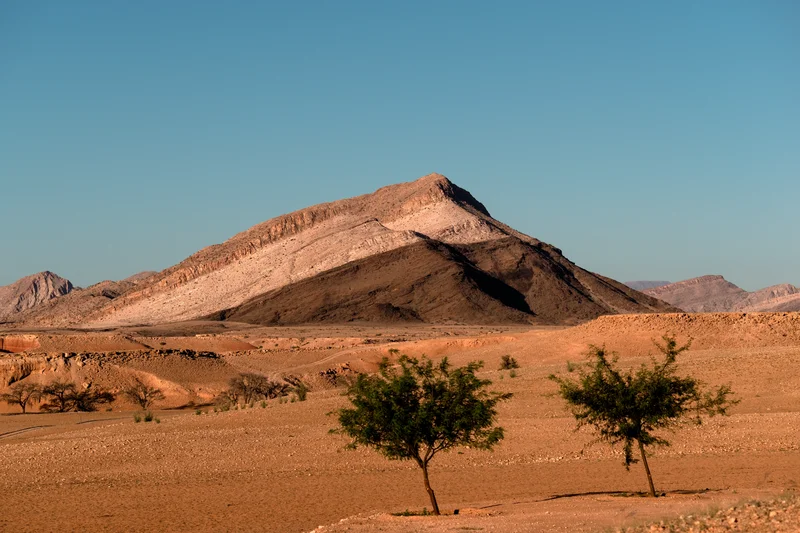 The home of the Mountain Zebra
