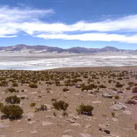 Volcanoes and salars of the Altiplano