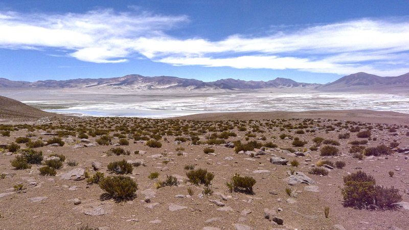 Volcanoes and salars of the Altiplano