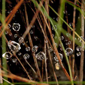 Every single drop matters