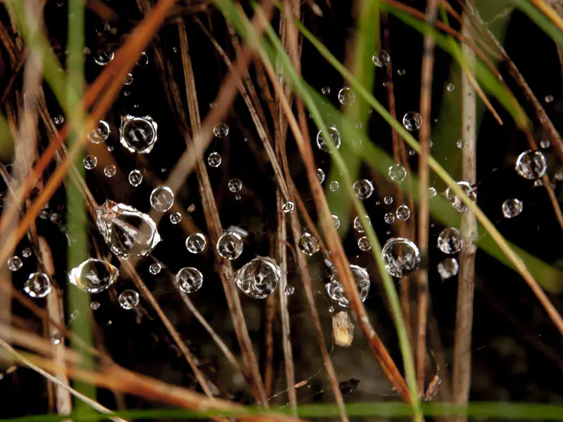 Every single drop matters