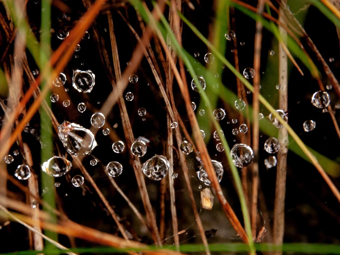 Every single drop matters