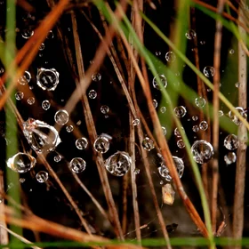 Every single drop matters